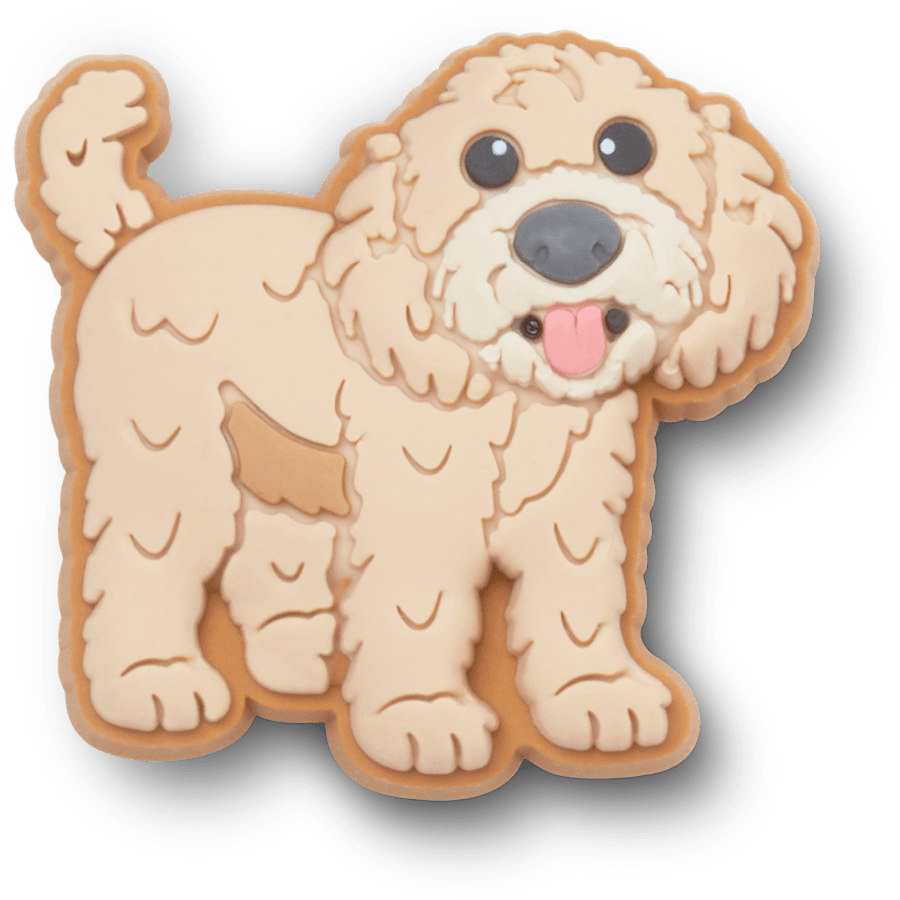 Golden Doodle Puppy
