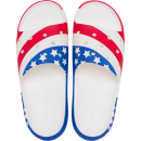 Classic American Flag Slide 2.0